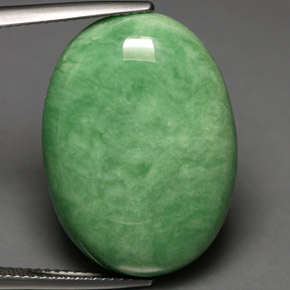 Variscite vert naturelle coupe ovale, 19,28 ct, opaque