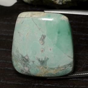 Variscite Vert naturelle Forme fantaisie, 47.54 ct, Opaque