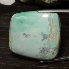 Variscite Vert naturelle Forme fantaisie, 47.54 ct, Opaque