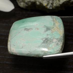 Variscite Vert naturelle Forme fantaisie, 47.54 ct, Opaque