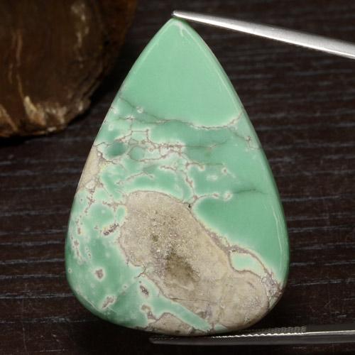 Variscite Vert multicolore naturelle En forme de poire, 43.90 ct, Opaque