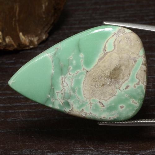 Variscite Vert multicolore naturelle En forme de poire, 43.90 ct, Opaque