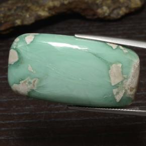 Variscite Vert clair naturelle Coupe coussin, 43.29 ct, Opaque