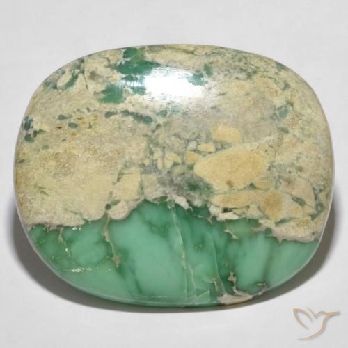 60.66ct Naturel Vert moyen Variscite, Coussin, Opaque