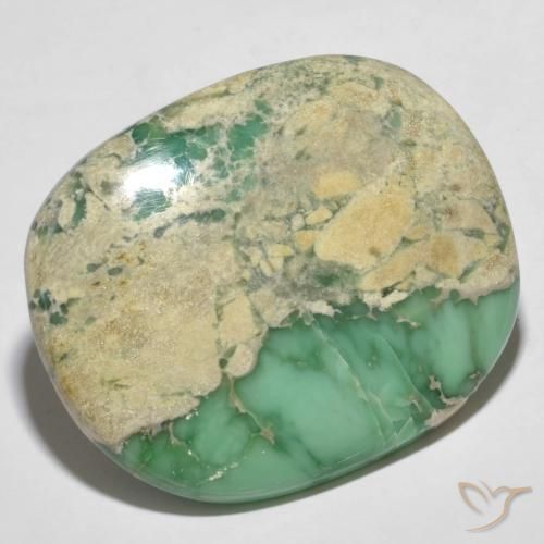 Variscite Vert moyen naturelle Coussin, 60.66 ct, Opaque