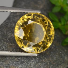 Zircon jaune naturelle coupe roude, 6,97 ct, VVS
