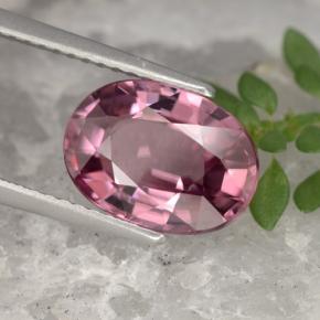 Zircon rose naturelle coupe ovale, 4,18 ct, VVS