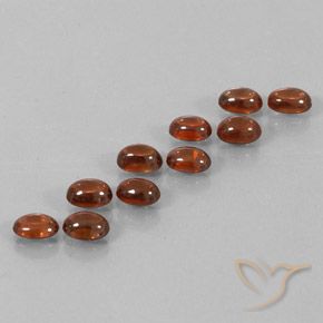 Shop natural 9.79ct Brun cannelle profond Zircon gems, ovale, from Sri Lanka at GemSelect. In stock, global shipping!